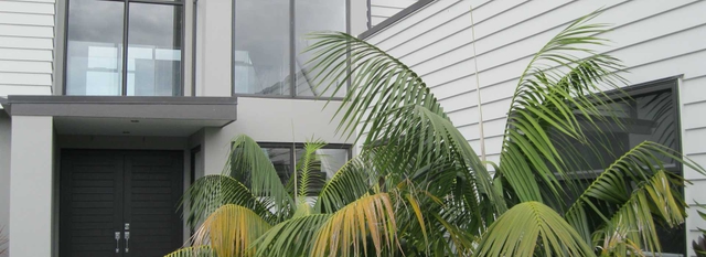 Hibiscus cover image