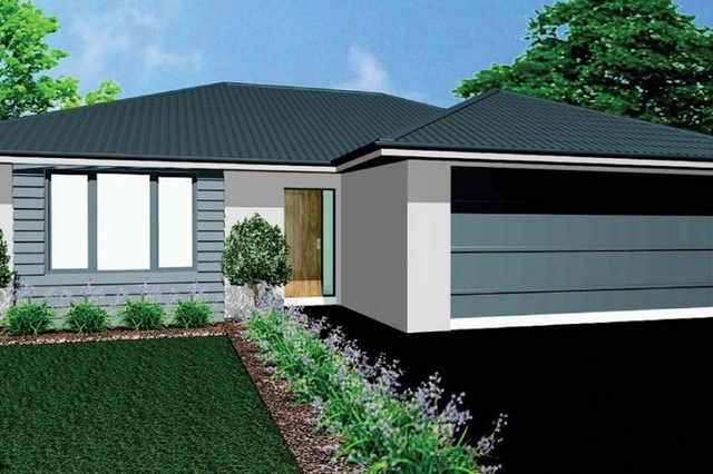 Silver Beech cover image